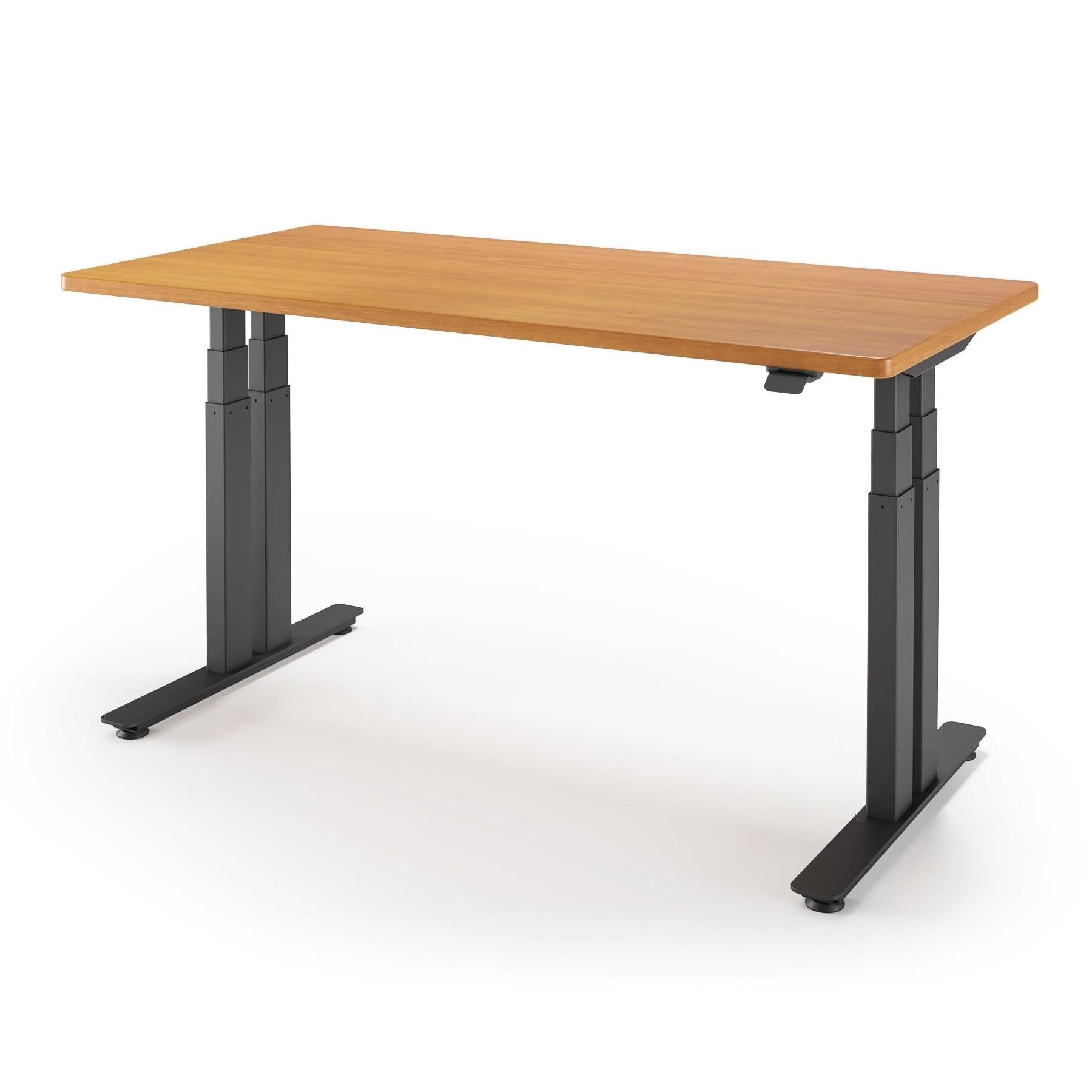P1 ELITE+ Standing Desk
