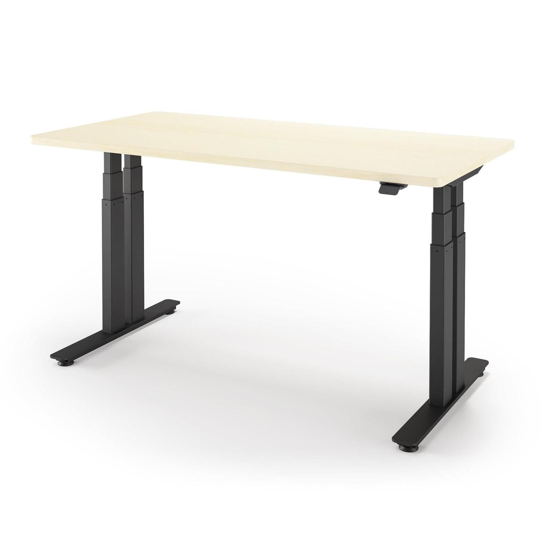 P1 ELITE+ Standing Desk