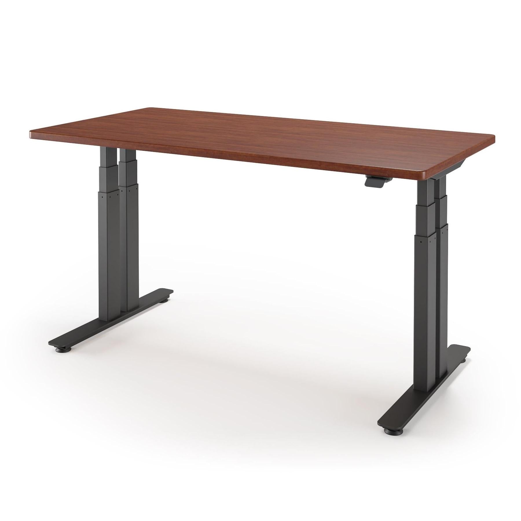 P1 ELITE+ Standing Desk