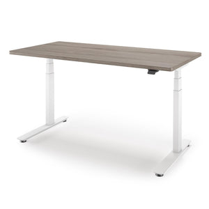P1 Elite Standing Desk Collection