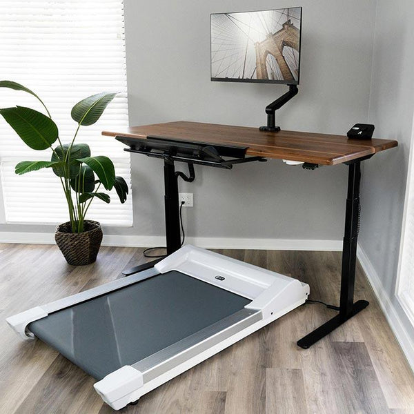 Amazon.co.jp: Hilander Wood Roll Top Table 2 90 : Sports
