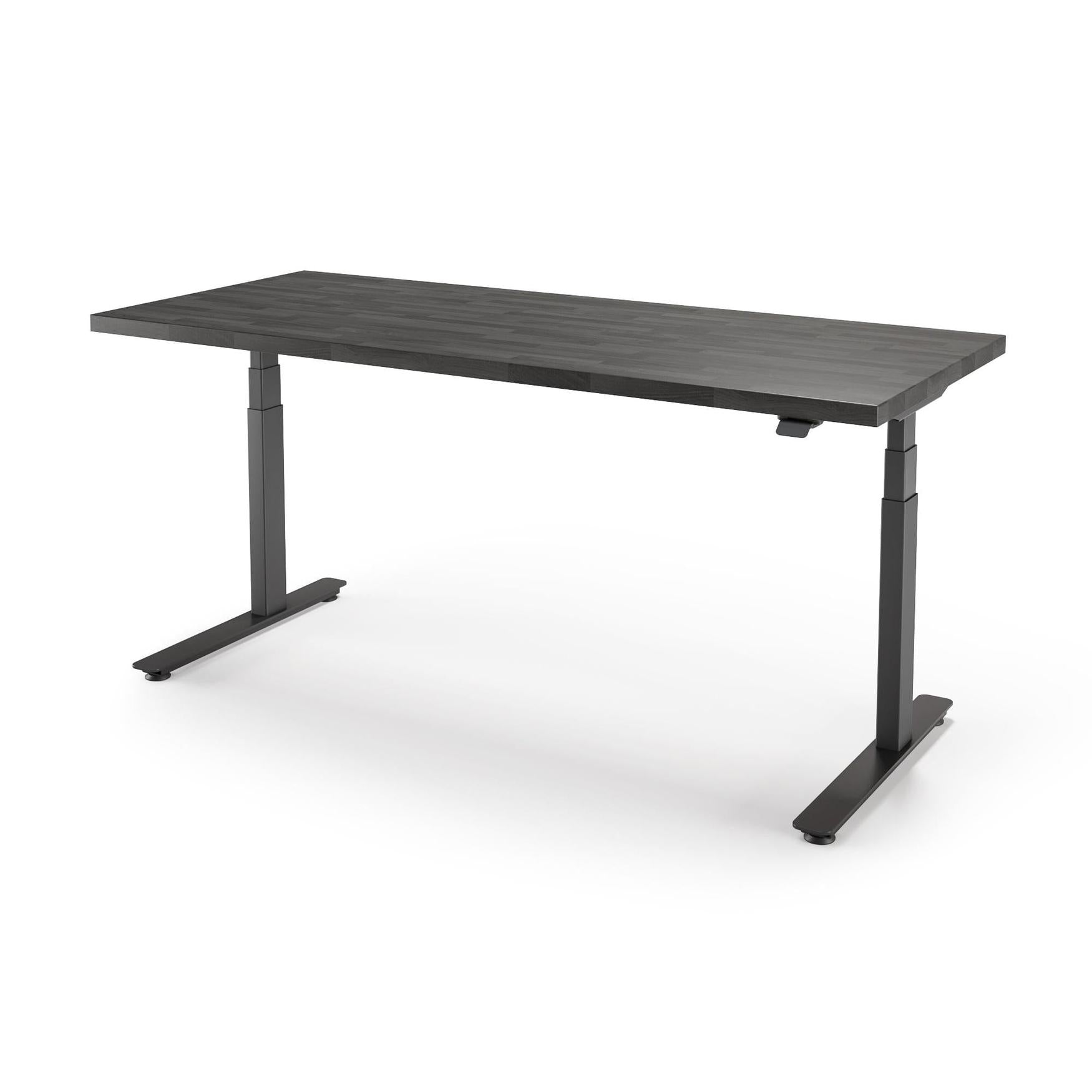 P1 ELITE Standing Desk with Solid Wood Butcher Block Surface 30x77