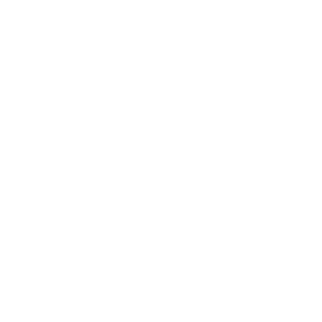 5-Star Service Icon