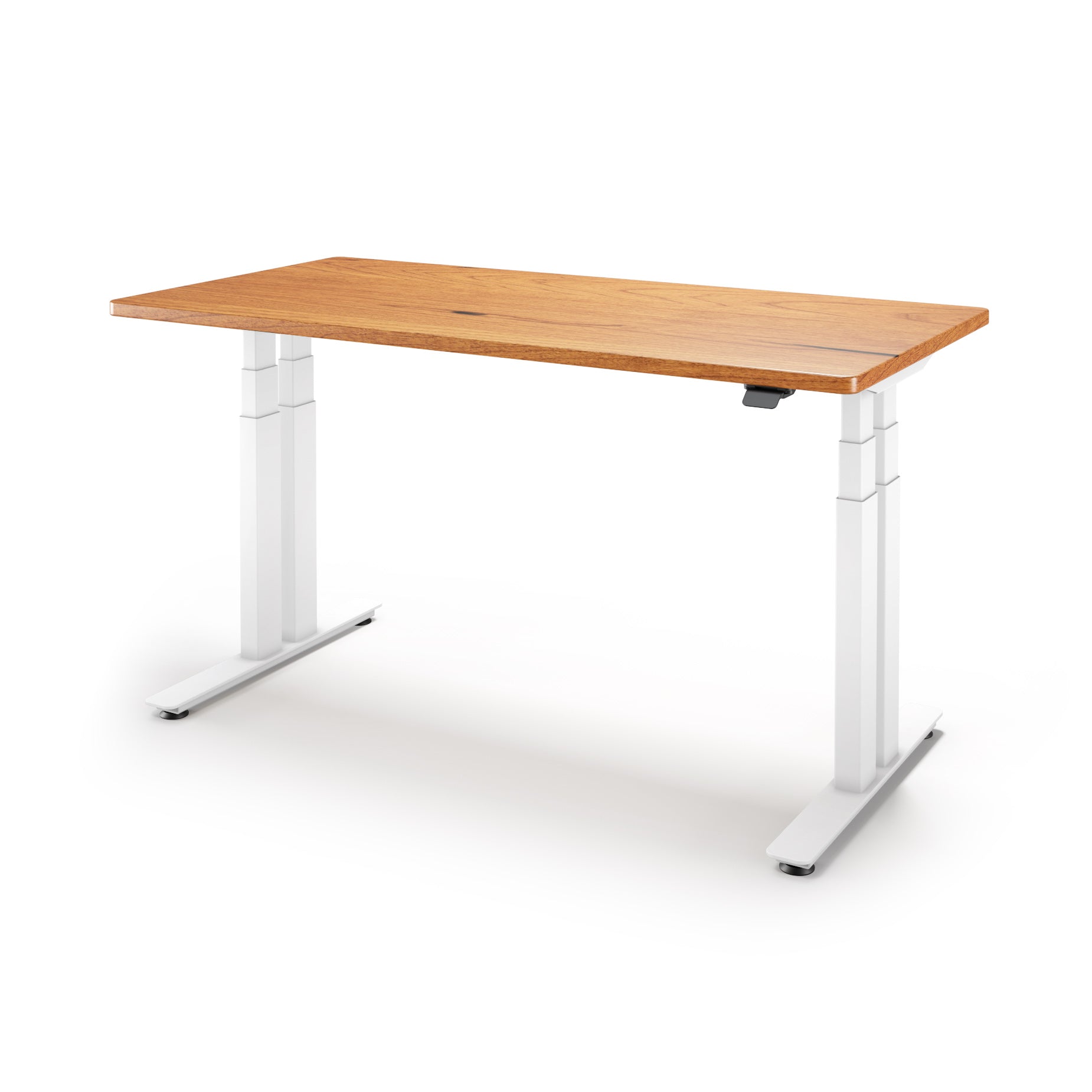 P1 ELITE PLUS Standing Desk with Solid Wood Desktop