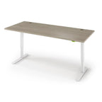 Jaxson Standing Desk in 3D Laminate 30x71-Swiss Elm-Single Stage (26.9" - 45.9") Range-Alabaster White-iMovR