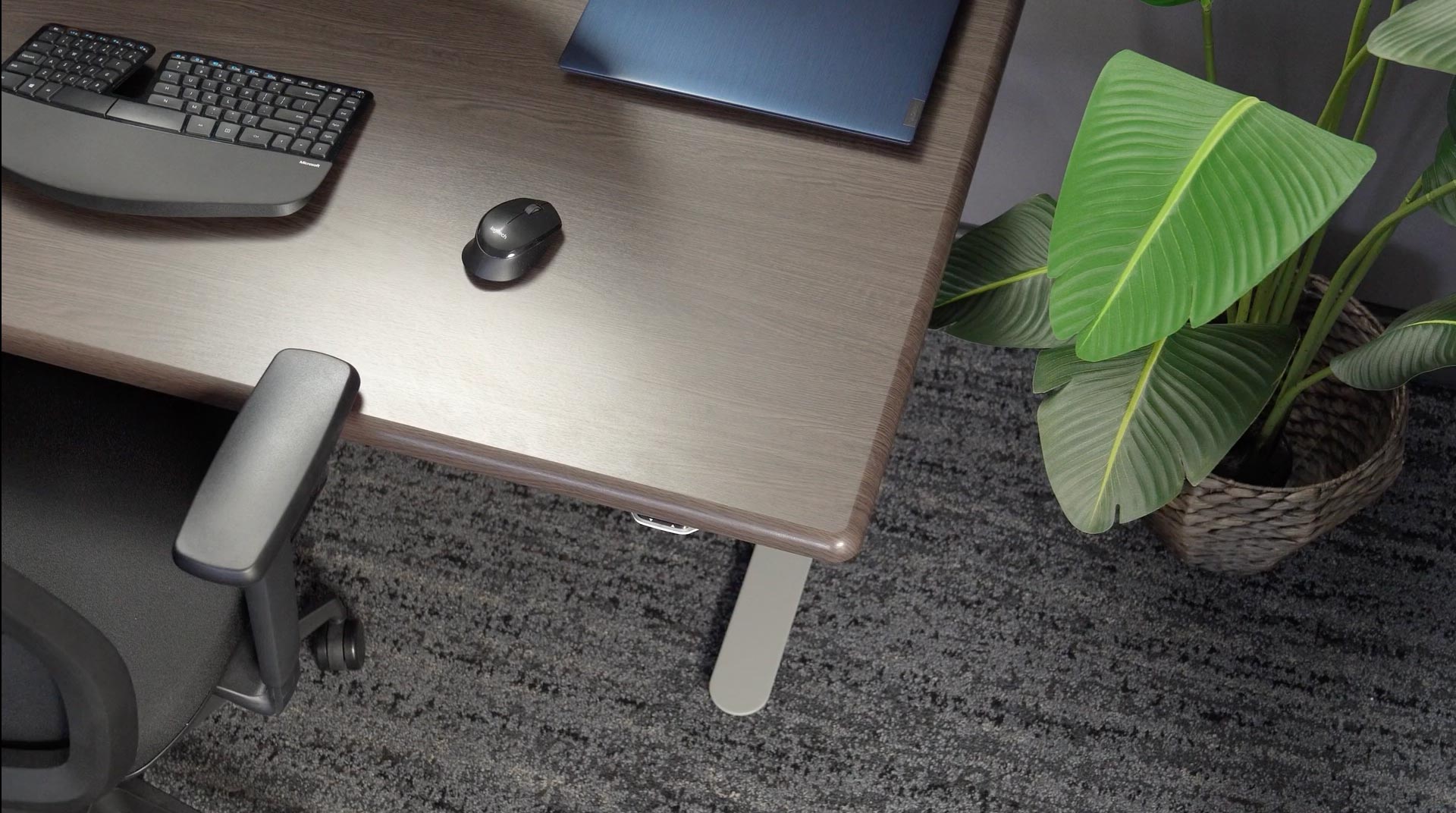 Corner of Jaxson Desk in Obsidian Oak on Starlight Silver Base