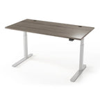 Lander Standing Desk in 3D Laminate 30x65-Ironwood-Silver-With Grommet Holes-iMovR