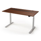 Lander Standing Desk in Solid Wood 30x95-Caramel Walnut Select-Silver-With Grommet Holes-iMovR