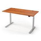 Lander Standing Desk in Solid Wood 30x95-Light Cherry Rustic-Silver-With Grommet Holes-iMovR