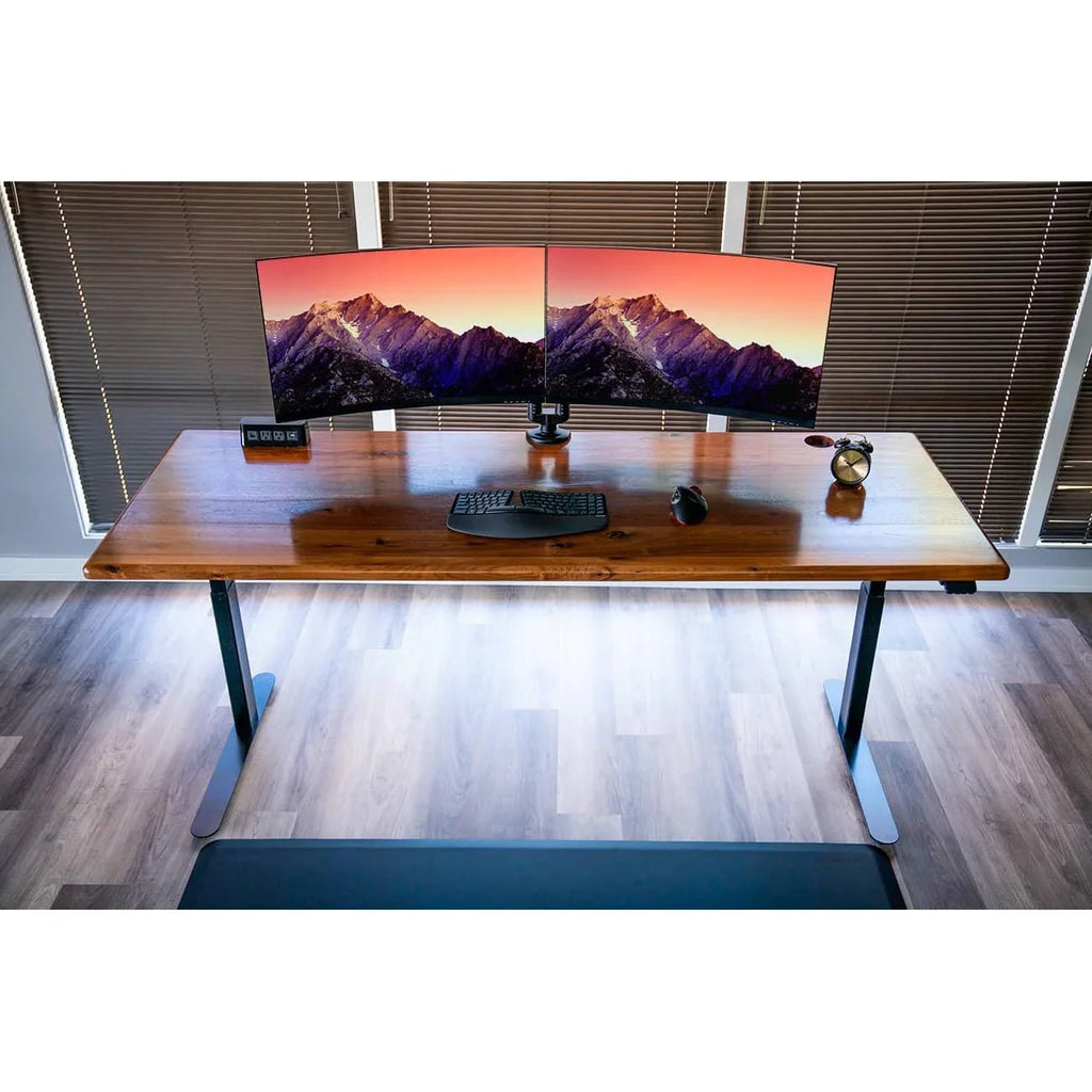 Lander Standing Desk with Solid Wood Desktop