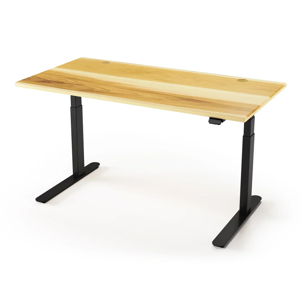 Lander Standing Desk with Solid Wood Desktop
