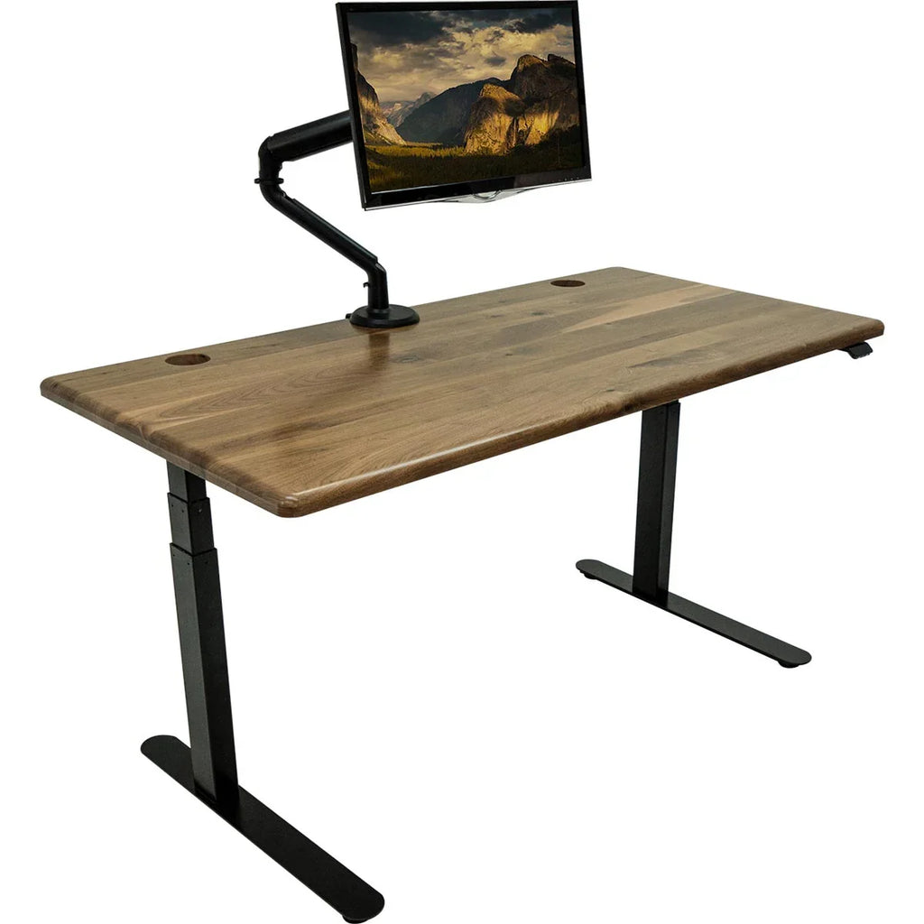 Lander Standing Desk with Solid Wood Desktop