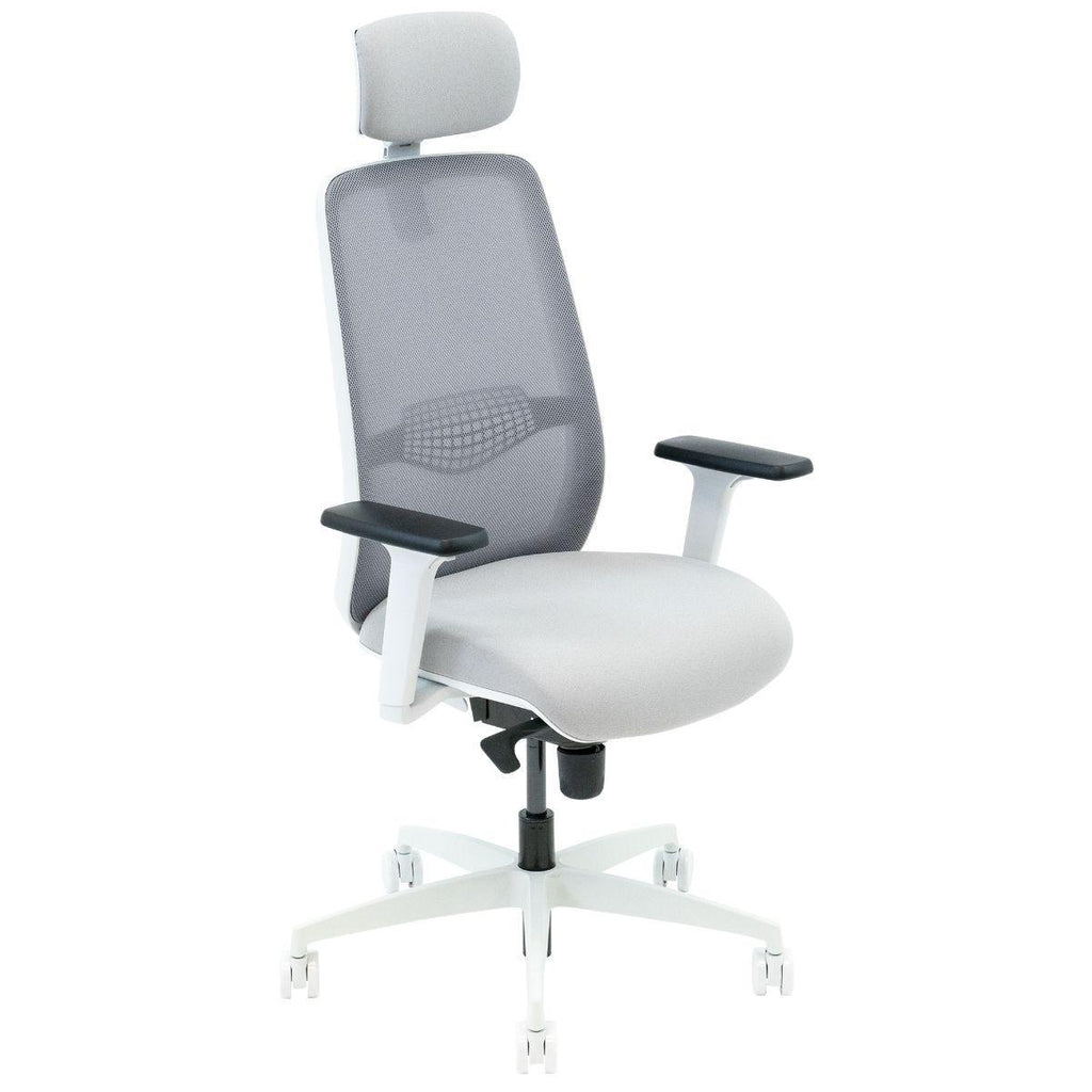 Neemo Ergonomic Chair | iMovR.com