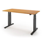 P1 ELITE+ Standing Desk 30x59-Hayward Cherry-With Grommet Holes-Black-iMovR