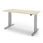 P1 ELITE+ Standing Desk 30x59-Natural Oak-With Grommet Holes-Silver-iMovR
