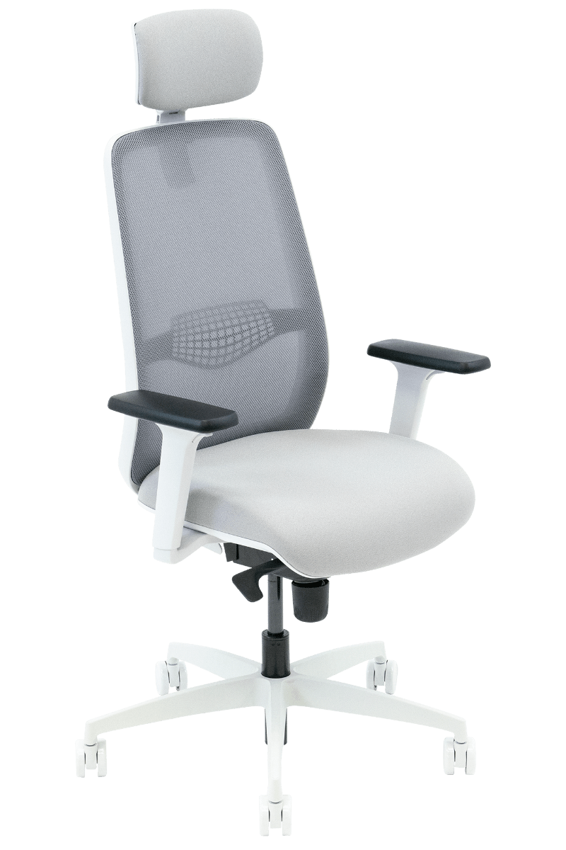 Neemo Ergonomic Office Chair