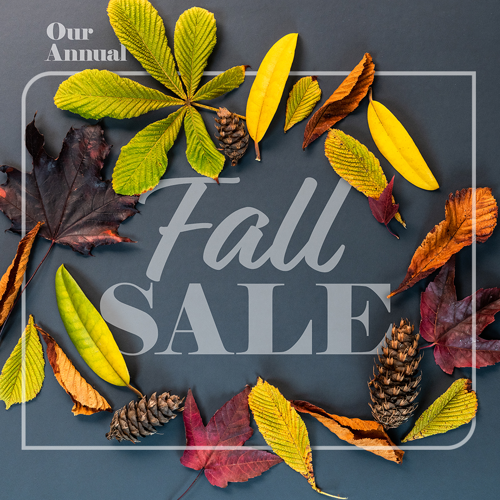 The Fall Sale